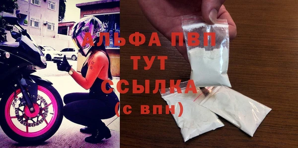 гидра Ахтубинск
