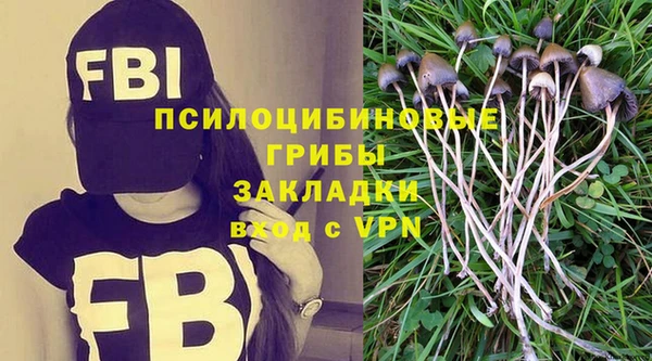 ешки Мегион
