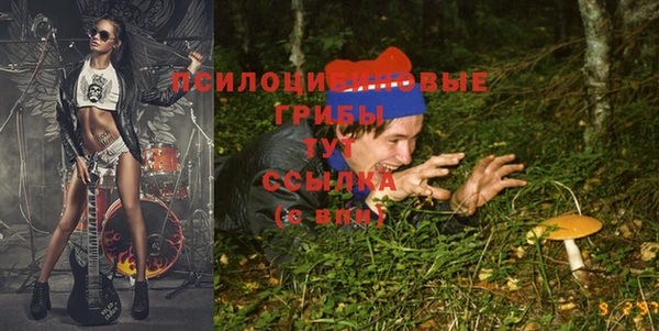 мдма Михайловск