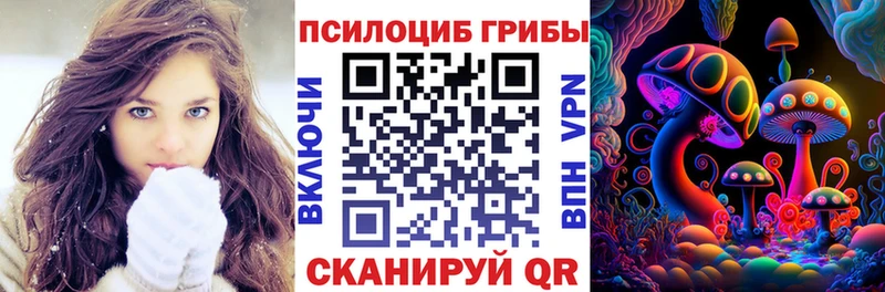 Галлюциногенные грибы Psilocybine cubensis  Махачкала 