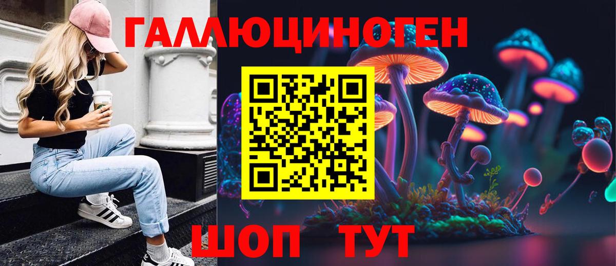 Махачкала  Псилоцибиновые грибы Cubensis  Псилоцибиновые грибы мицелий  Вход с VPN 