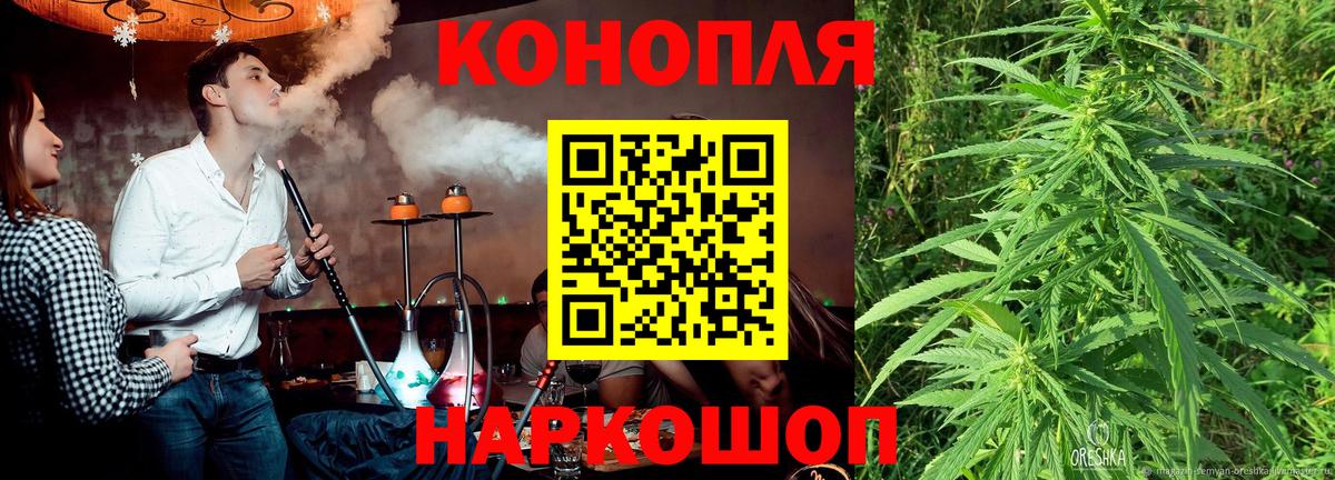Бошки Шишки план  Бошки марихуана OG Kush  Вход с VPN  Бошки Шишки Amnesia  Махачкала  Канабис гибрид 